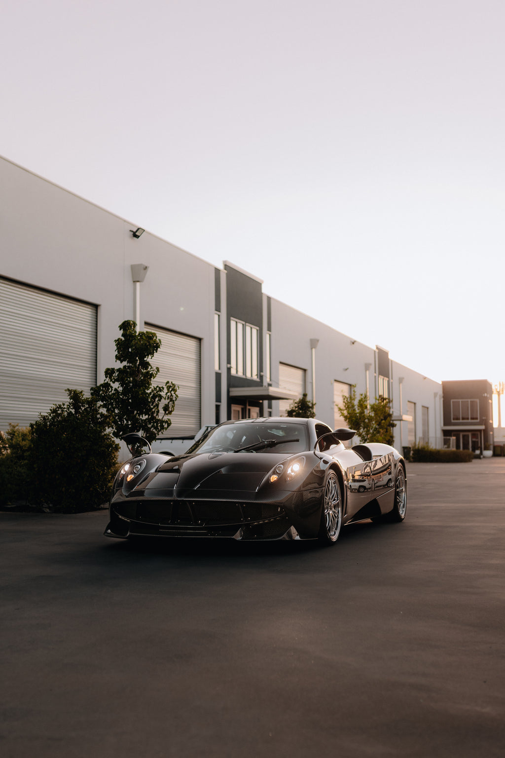 Pagani Huayra - Full Carbon Fibre (Copy)